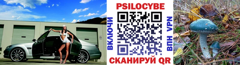 как найти закладки  Тосно  Псилоцибиновые грибы Psilocybe 