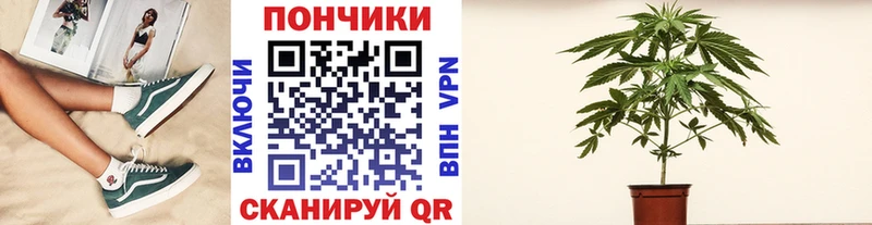 МАРИХУАНА сатива  купить наркотики цена  Тосно 
